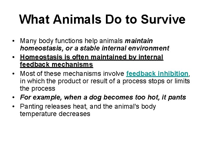 What Animals Do to Survive • Many body functions help animals maintain homeostasis, or