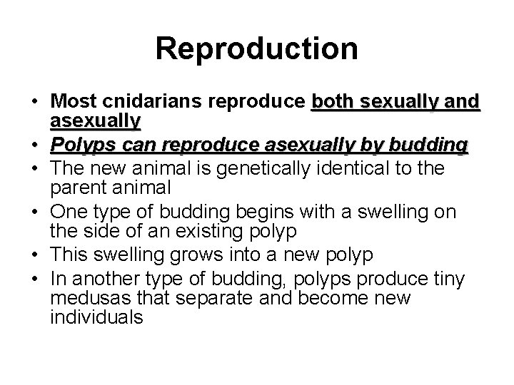 Reproduction • Most cnidarians reproduce both sexually and asexually • Polyps can reproduce asexually