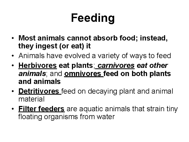 Feeding • Most animals cannot absorb food; instead, they ingest (or eat) it •