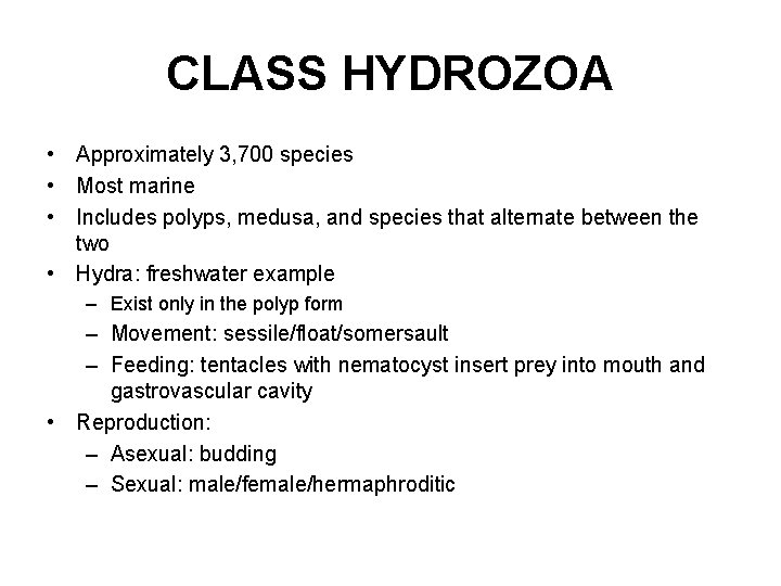 CLASS HYDROZOA • Approximately 3, 700 species • Most marine • Includes polyps, medusa,