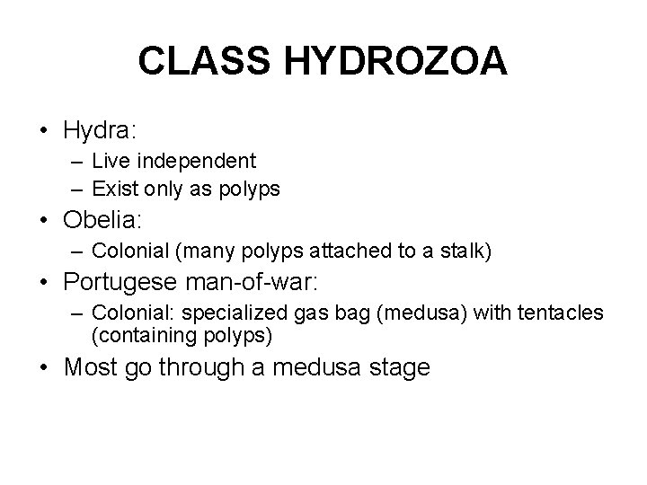 CLASS HYDROZOA • Hydra: – Live independent – Exist only as polyps • Obelia: