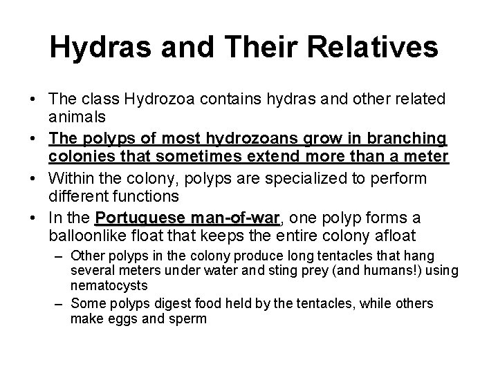 Hydras and Their Relatives • The class Hydrozoa contains hydras and other related animals