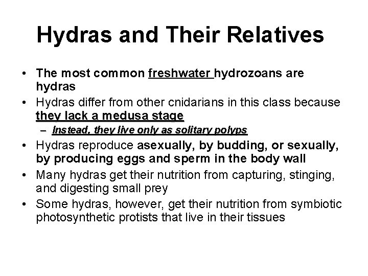 Hydras and Their Relatives • The most common freshwater hydrozoans are hydras • Hydras