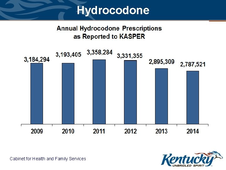 Hydrocodone Cabinet for Health and Family Services 