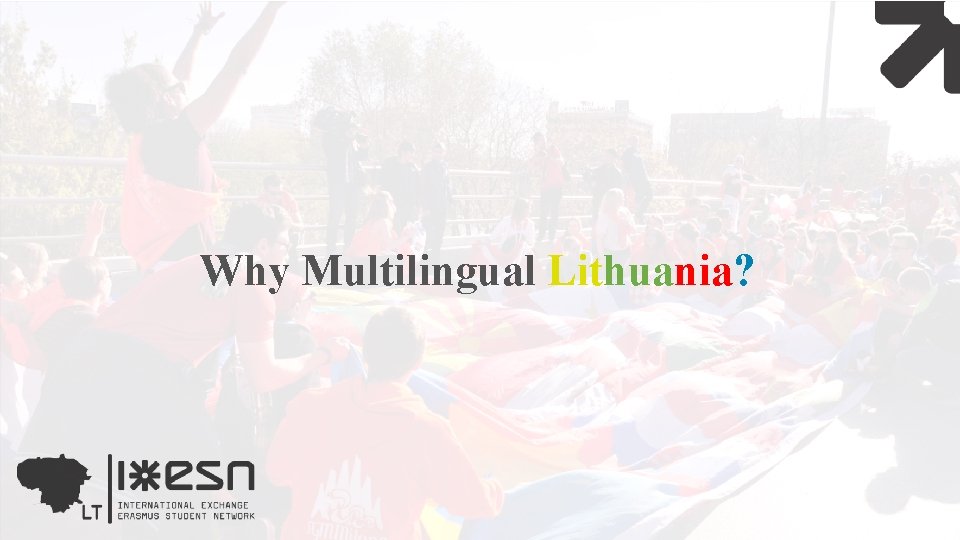 Why Multilingual Lithuania? 