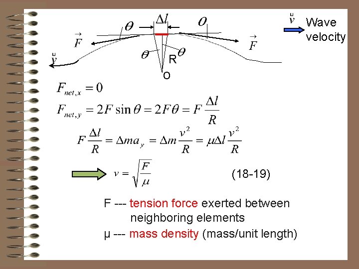 Wave velocity R o (18 -19) F --- tension force exerted between neighboring elements Wave velocity R o (18 -19) F --- tension force exerted between neighboring elements