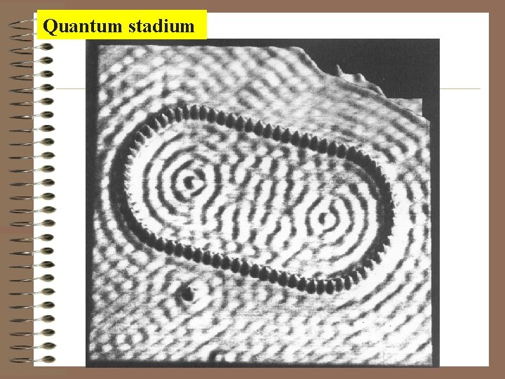 Quantum stadium Quantum stadium