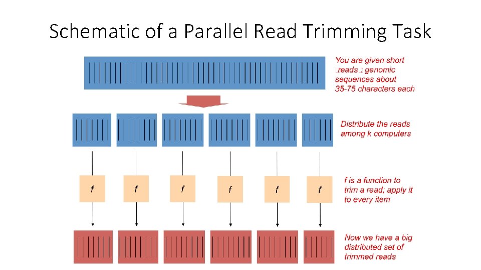 Schematic of a Parallel Read Trimming Task 