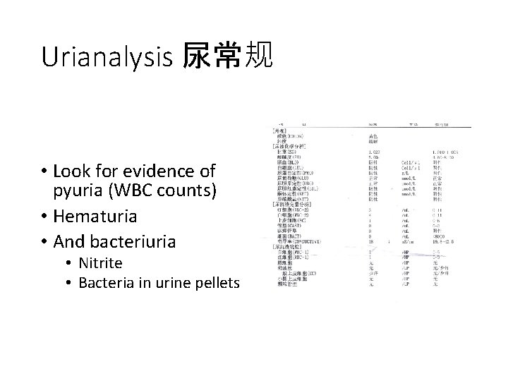 Urianalysis 尿常规 • Look for evidence of pyuria (WBC counts) • Hematuria • And