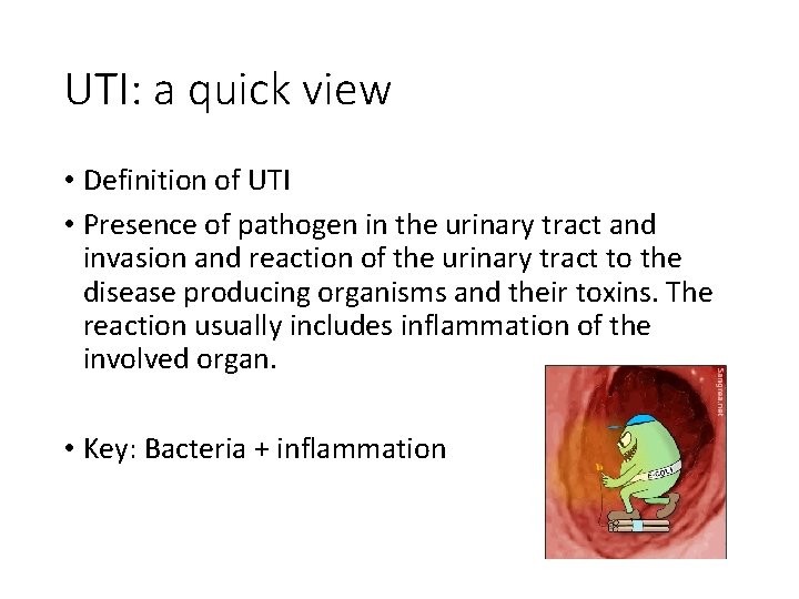 UTI: a quick view • Definition of UTI • Presence of pathogen in the