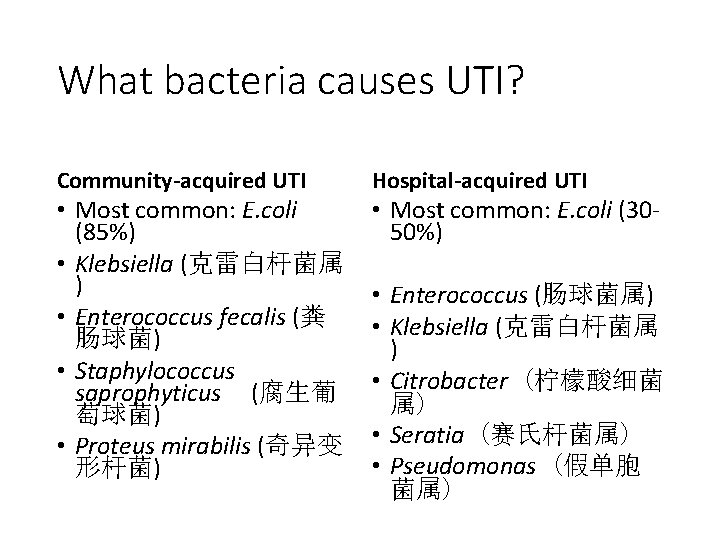 What bacteria causes UTI? Community-acquired UTI • Most common: E. coli (85%) • Klebsiella