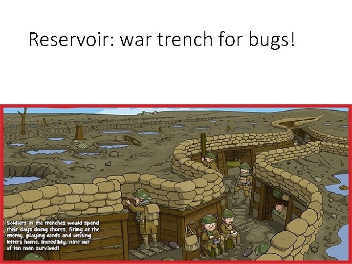 Reservoir: war trench for bugs! 