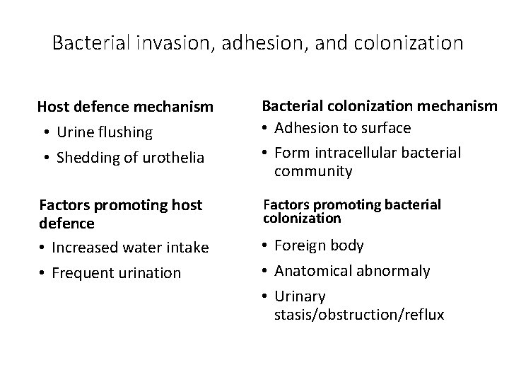 Bacterial invasion, adhesion, and colonization Host defence mechanism • Urine flushing • Shedding of