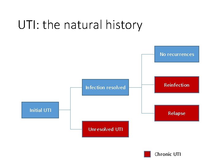 UTI: the natural history No recurrences Infection resolved Initial UTI Reinfection Relapse Unresolved UTI