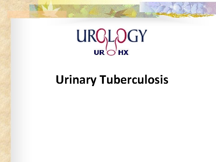 Urinary Tuberculosis 