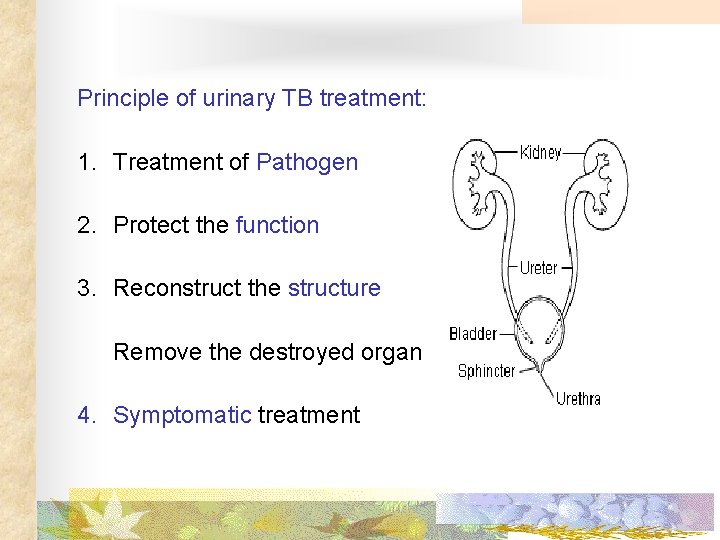 Principle of urinary TB treatment: 1. Treatment of Pathogen 2. Protect the function 3.