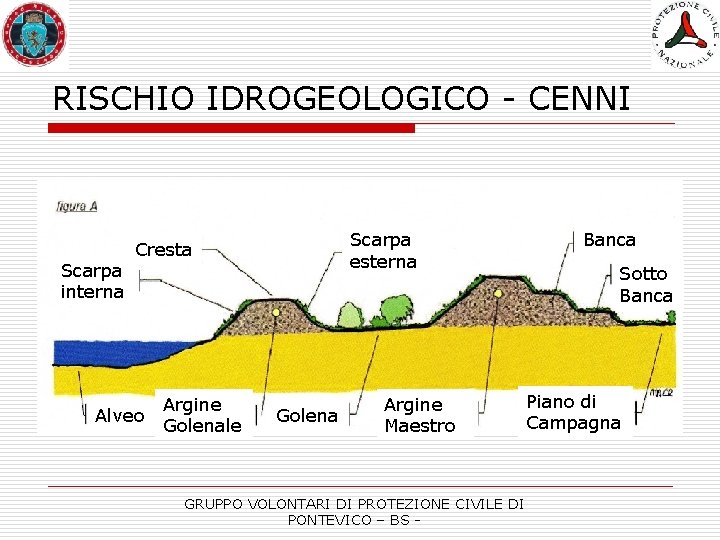 RISCHIO IDROGEOLOGICO - CENNI Scarpa interna Scarpa esterna Cresta Alveo Argine Golenale Golena Argine