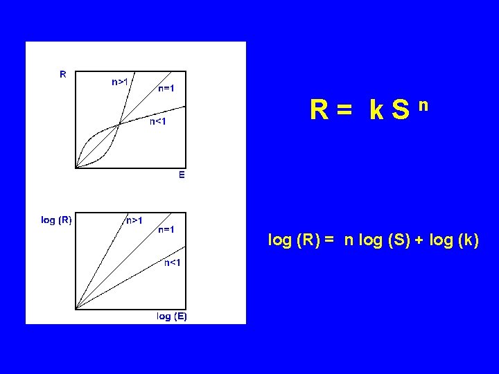 R= k. Sn log (R) = n log (S) + log (k) 