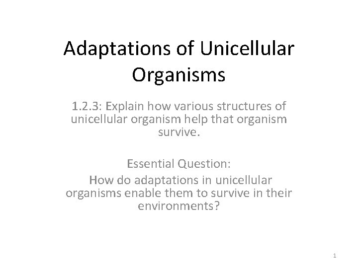 Adaptations of Unicellular Organisms 1. 2. 3: Explain how various structures of unicellular organism