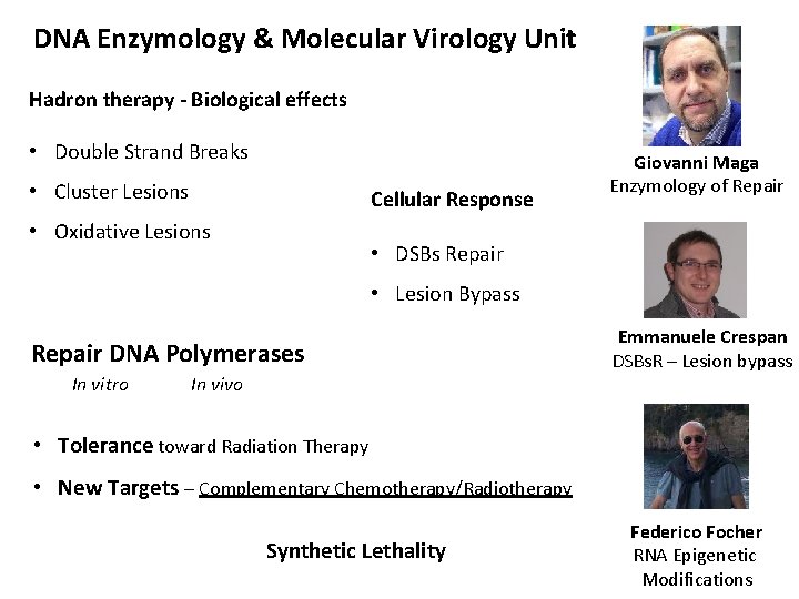 DNA Enzymology & Molecular Virology Unit Hadron therapy - Biological effects • Double Strand