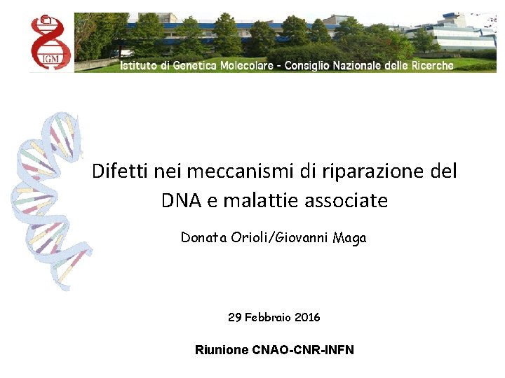Difetti nei meccanismi di riparazione del DNA e malattie associate Donata Orioli/Giovanni Maga 29