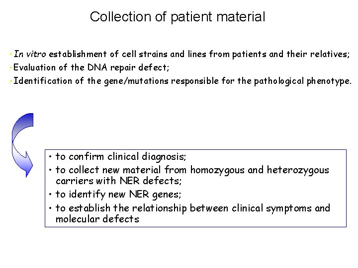 Collection of patient material • In vitro establishment of cell strains and lines from