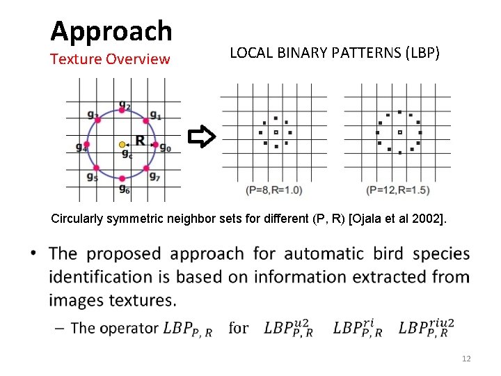 Approach Texture Overview LOCAL BINARY PATTERNS (LBP) Circularly symmetric neighbor sets for different (P,