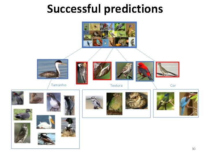 Successful predictions 30 
