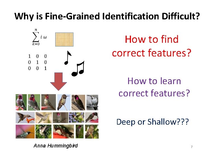 Why is Fine-Grained Identification Difficult? How to find correct features? How to learn correct