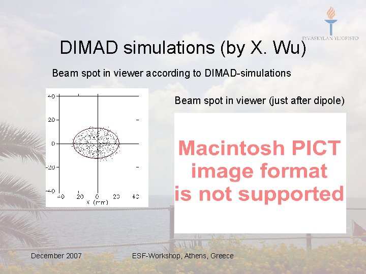 DIMAD simulations (by X. Wu) Beam spot in viewer according to DIMAD-simulations Beam spot