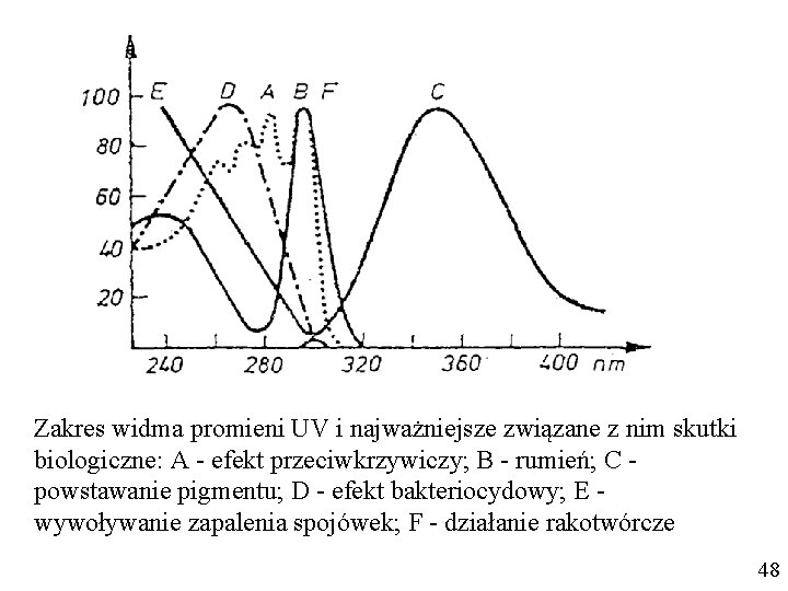 Zakres widma promieni UV i najważniejsze związane z nim skutki biologiczne: A - efekt