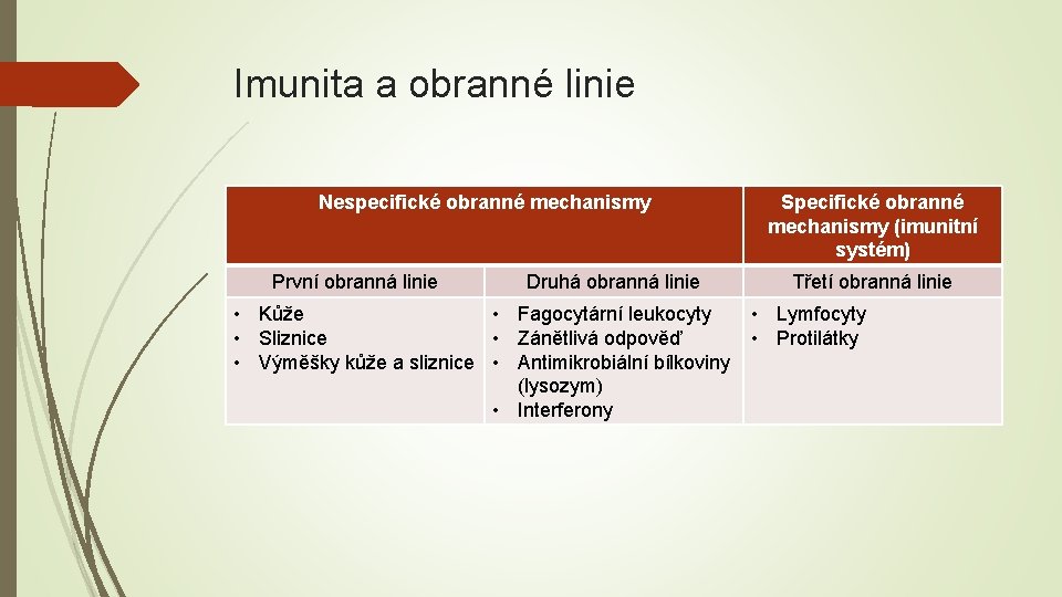 Imunita a obranné linie Nespecifické obranné mechanismy První obranná linie Druhá obranná linie Specifické