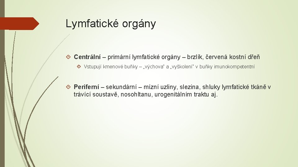 Lymfatické orgány Centrální – primární lymfatické orgány – brzlík, červená kostní dřeň Vstupují kmenové