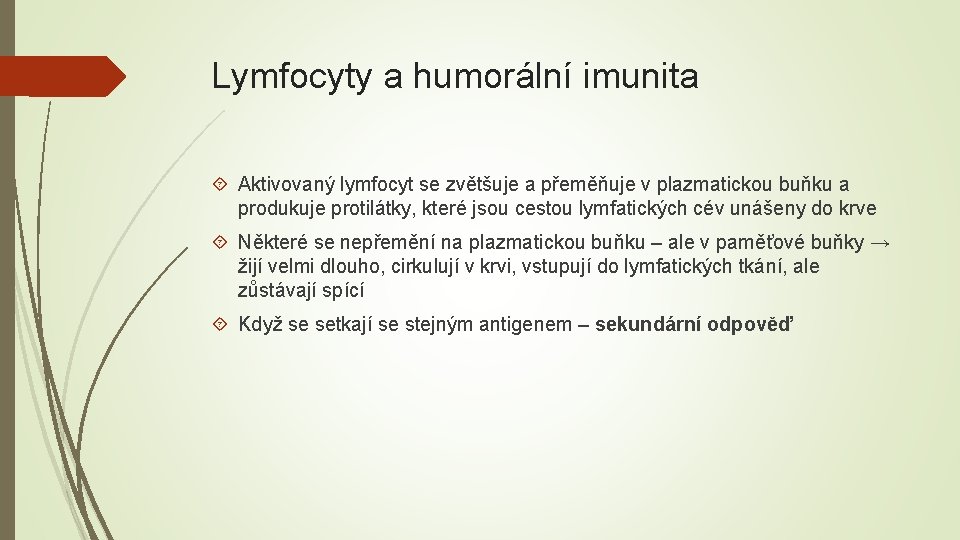 Lymfocyty a humorální imunita Aktivovaný lymfocyt se zvětšuje a přeměňuje v plazmatickou buňku a