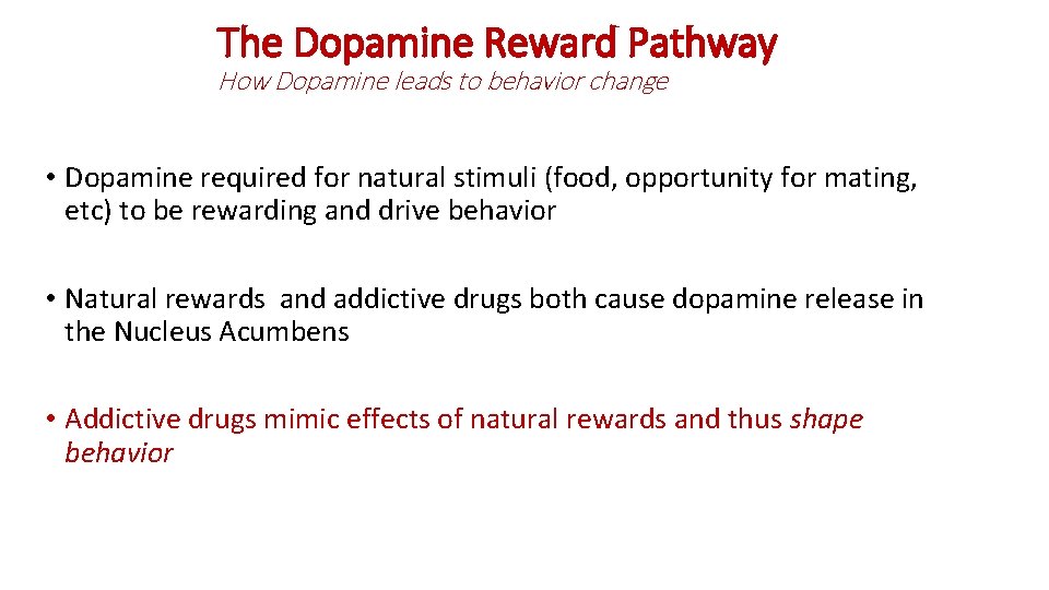 The Dopamine Reward Pathway How Dopamine leads to behavior change • Dopamine required for