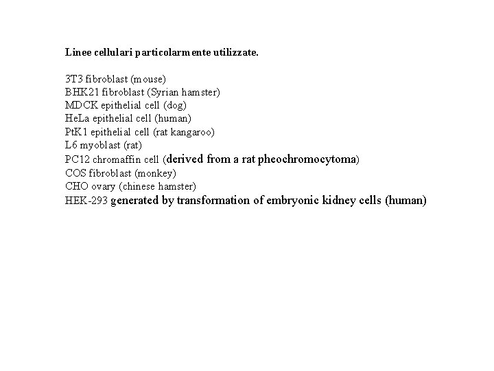 Linee cellulari particolarmente utilizzate. 3 T 3 fibroblast (mouse) BHK 21 fibroblast (Syrian hamster)