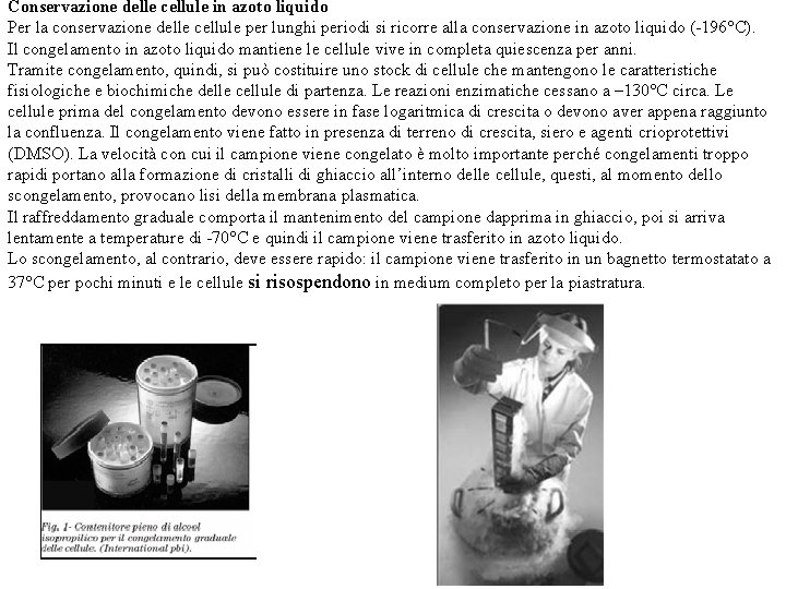 Conservazione delle cellule in azoto liquido Per la conservazione delle cellule per lunghi periodi