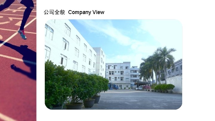 公司全貌 Company View 