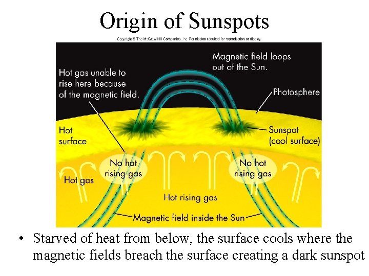 Origin of Sunspots • Starved of heat from below, the surface cools where the