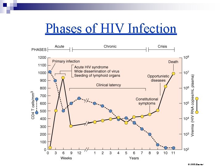 Phases of HIV Infection © 2005 Elsevier 
