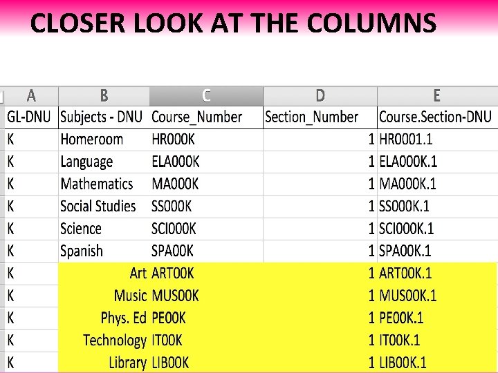 CLOSER LOOK AT THE COLUMNS 