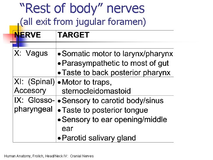 “Rest of body” nerves (all exit from jugular foramen) Human Anatomy, Frolich, Head/Neck IV: