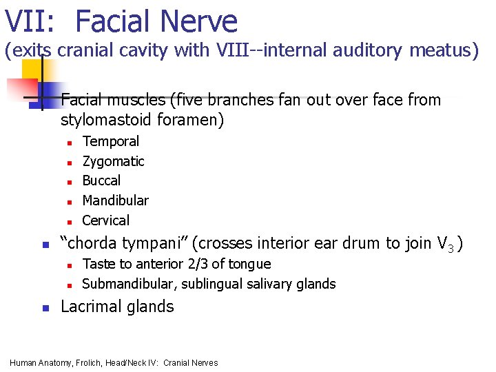 VII: Facial Nerve (exits cranial cavity with VIII--internal auditory meatus) n Facial muscles (five