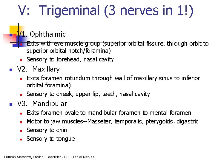 V: Trigeminal (3 nerves in 1!) n V 1. Ophthalmic n n n V