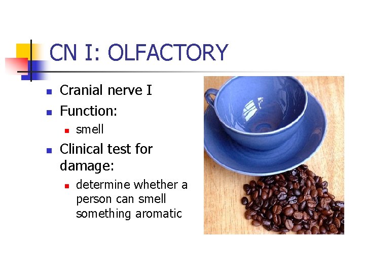 CN I: OLFACTORY n n Cranial nerve I Function: n n smell Clinical test