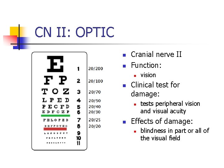 CN II: OPTIC n n Cranial nerve II Function: n n Clinical test for