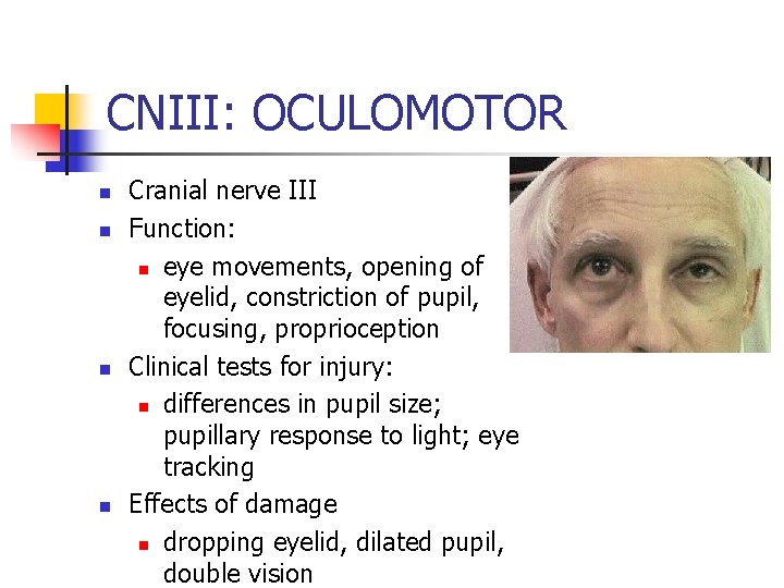 CNIII: OCULOMOTOR n n Cranial nerve III Function: n eye movements, opening of eyelid,