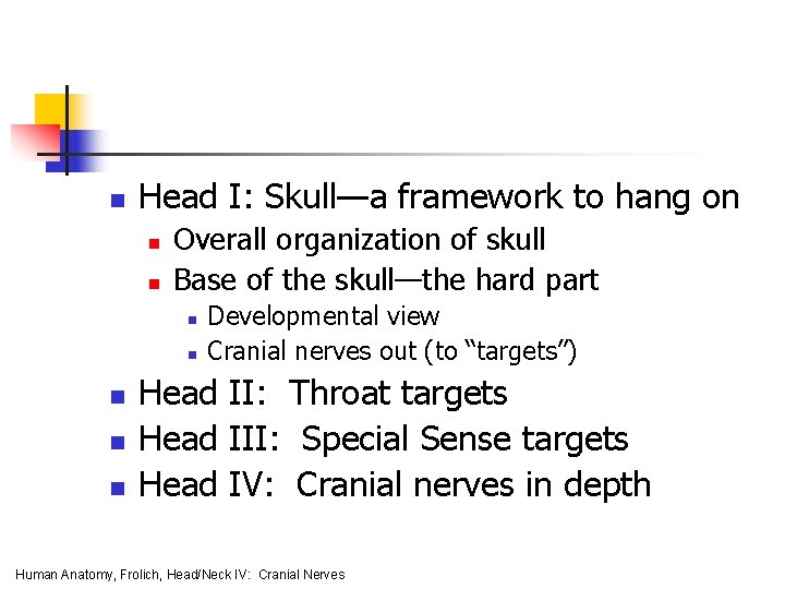 n Head I: Skull—a framework to hang on n n Overall organization of skull