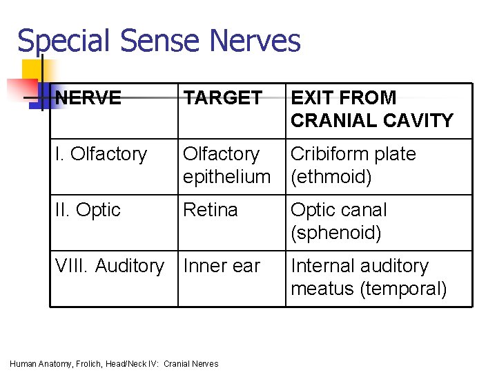 Special Sense Nerves NERVE TARGET EXIT FROM CRANIAL CAVITY I. Olfactory epithelium Cribiform plate