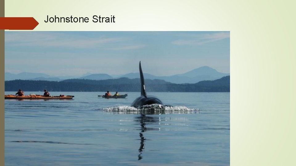 Johnstone Strait 